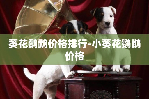 葵花鸚鵡價格排行-小葵花鸚鵡價格