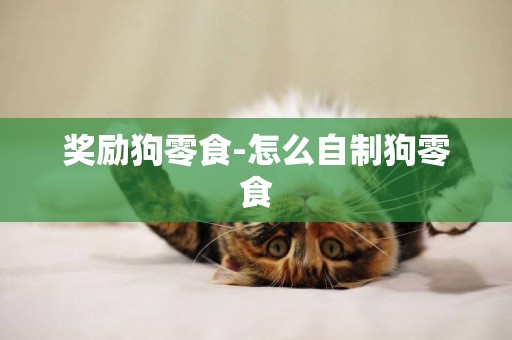 獎勵狗零食-怎么自制狗零食