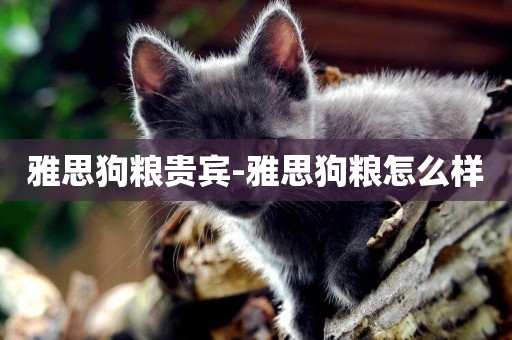 雅思狗糧貴賓-雅思狗糧怎么樣