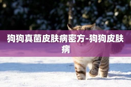 狗狗真菌皮膚病密方-狗狗皮膚病