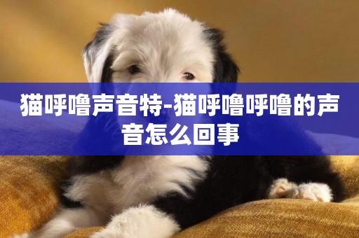 貓呼嚕聲音特-貓呼嚕呼嚕的聲音怎么回事
