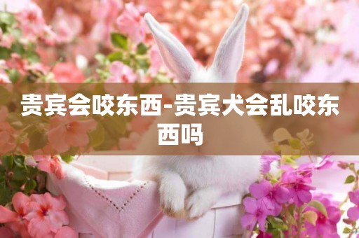 貴賓會咬東西-貴賓犬會亂咬東西嗎