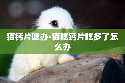 貓鈣片吃辦-貓吃鈣片吃多了怎么辦