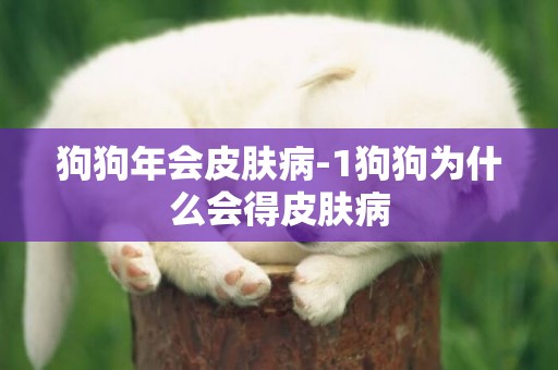 狗狗年會皮膚病-1狗狗為什么會得皮膚病