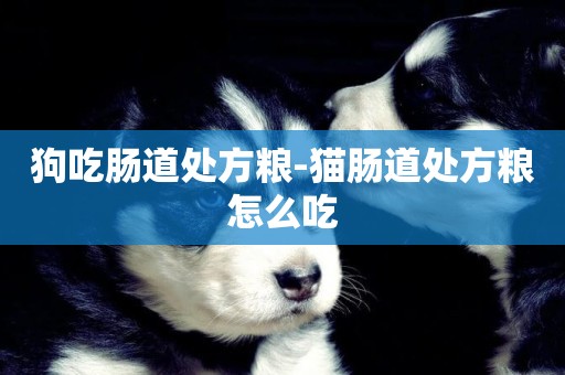 狗吃腸道處方糧-貓腸道處方糧怎么吃