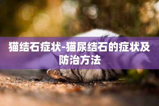 貓結石癥狀-貓尿結石的癥狀及防治方法