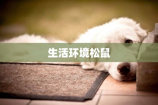 生活環境松鼠