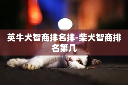 英牛犬智商排名排-柴犬智商排名第幾