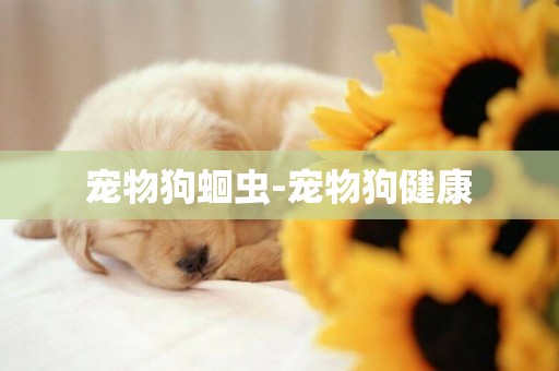 寵物狗蛔蟲-寵物狗健康