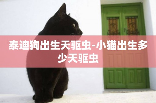 泰迪狗出生天驅蟲-小貓出生多少天驅蟲