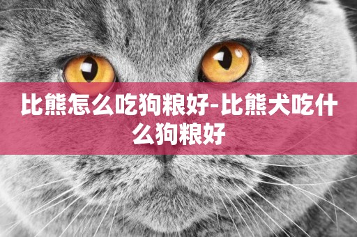 比熊怎么吃狗糧好-比熊犬吃什么狗糧好