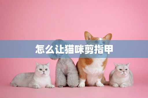 怎么讓貓咪剪指甲