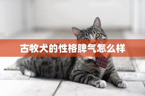 古牧犬的性格脾氣怎么樣