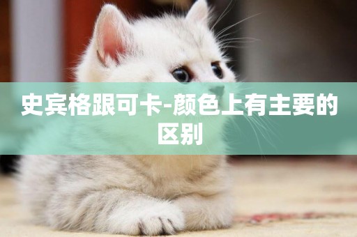 史賓格跟可卡-顏色上有主要的區別
