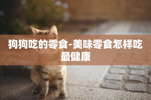 狗狗吃的零食-美味零食怎樣吃最健康