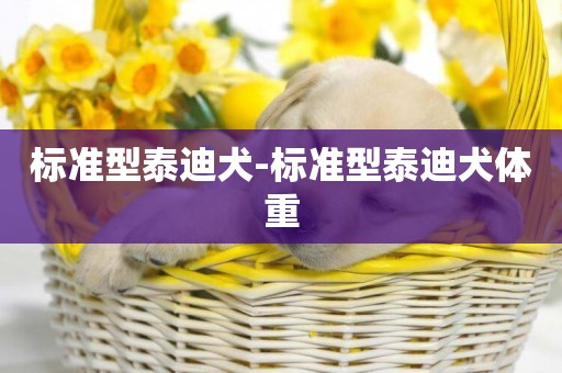 標準型泰迪犬-標準型泰迪犬體重