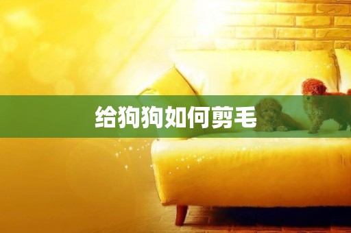 給狗狗如何剪毛