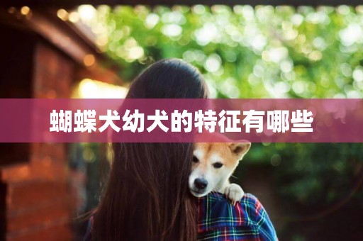 蝴蝶犬幼犬的特征有哪些
