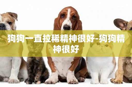 狗狗一直拉稀精神很好-狗狗精神很好