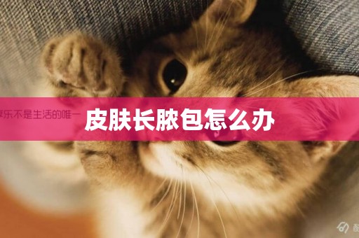 皮膚長膿包怎么辦