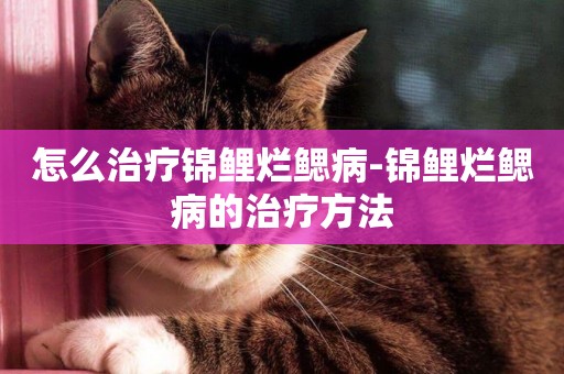 怎么治療錦鯉爛鰓病-錦鯉爛鰓病的治療方法