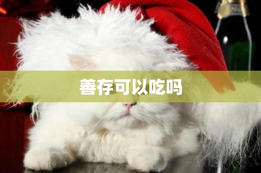善存可以吃嗎
