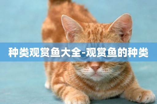 種類觀賞魚大全-觀賞魚的種類