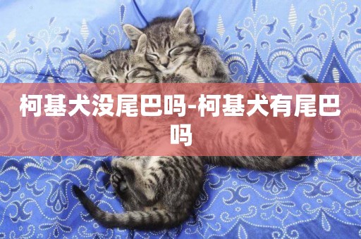 柯基犬沒尾巴嗎-柯基犬有尾巴嗎