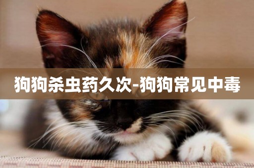 狗狗殺蟲藥久次-狗狗常見中毒