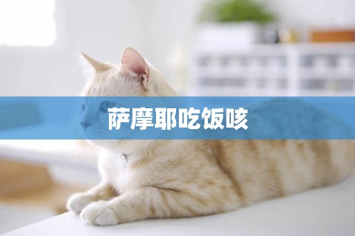 薩摩耶吃飯咳