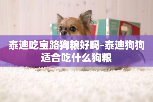 泰迪吃寶路狗糧好嗎-泰迪狗狗適合吃什么狗糧