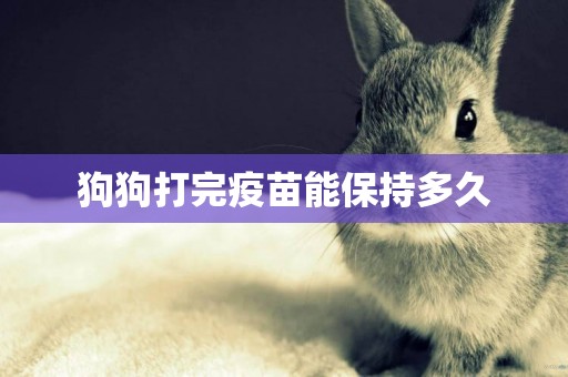 狗狗打完疫苗能保持多久