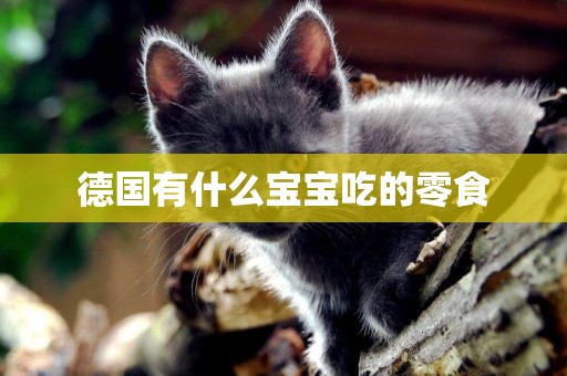 德國有什么寶寶吃的零食