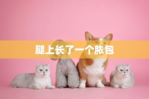 腿上長了一個膿包