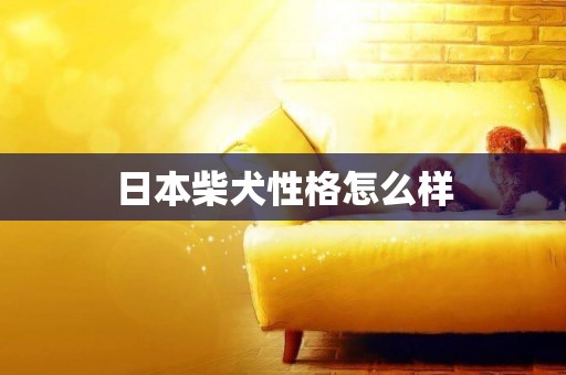 日本柴犬性格怎么樣