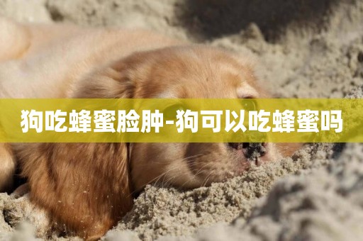 狗吃蜂蜜臉腫-狗可以吃蜂蜜嗎