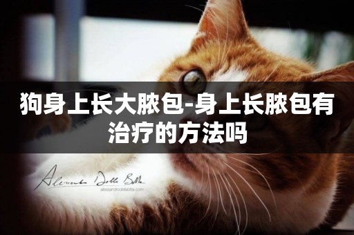 狗身上長大膿包-身上長膿包有治療的方法嗎