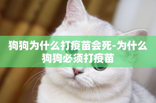 狗狗為什么打疫苗會死-為什么狗狗必須打疫苗