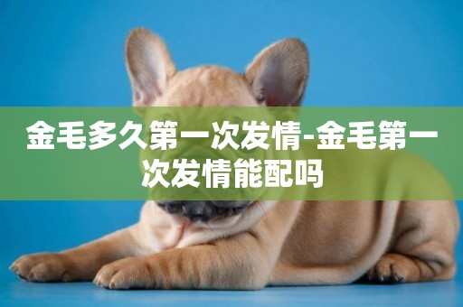 金毛多久第一次發情-金毛第一次發情能配嗎