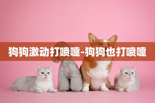 狗狗激動打噴嚏-狗狗也打噴嚏