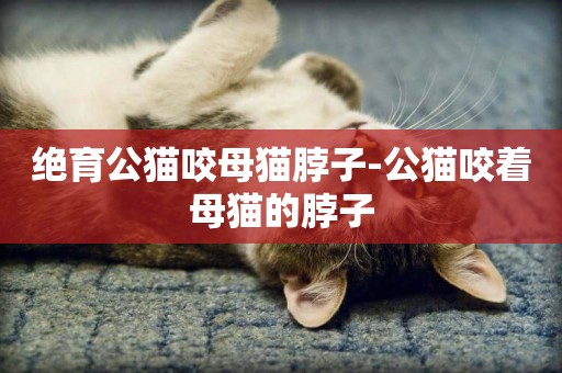 絕育公貓咬母貓脖子-公貓咬著母貓的脖子
