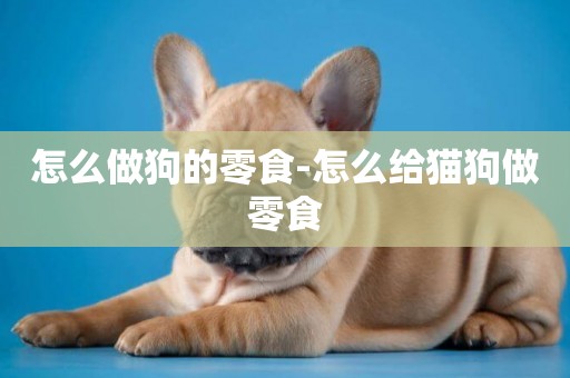 怎么做狗的零食-怎么給貓狗做零食
