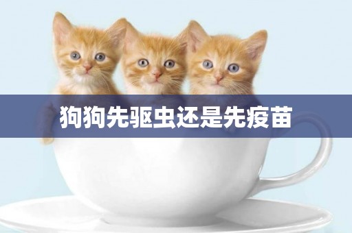 狗狗先驅蟲還是先疫苗