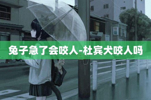 兔子急了會咬人-杜賓犬咬人嗎