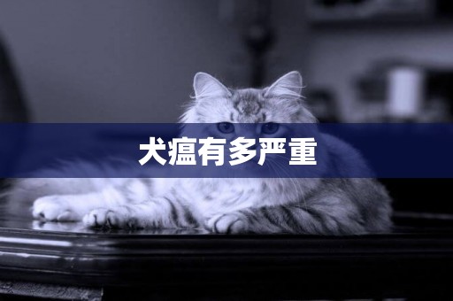 犬瘟有多嚴重