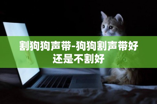割狗狗聲帶-狗狗割聲帶好還是不割好