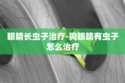 眼睛長蟲子治療-狗眼睛有蟲子怎么治療