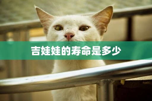 吉娃娃的壽命是多少
