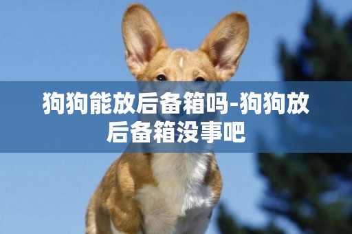 狗狗能放后備箱嗎-狗狗放后備箱沒事吧