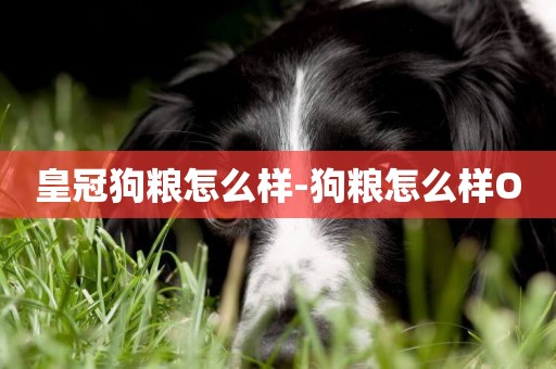 皇冠狗糧怎么樣-狗糧怎么樣O